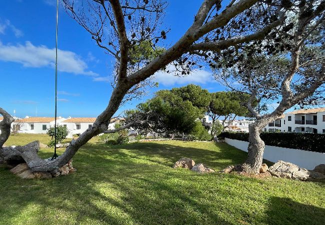 Apartamento en Arenal d'en Castell - Costa  Arenal 111 Apartamento en Arenal d'en Castell - Costa  Arenal 111